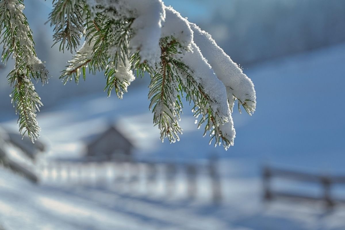 Arandjelovdan i snijeg